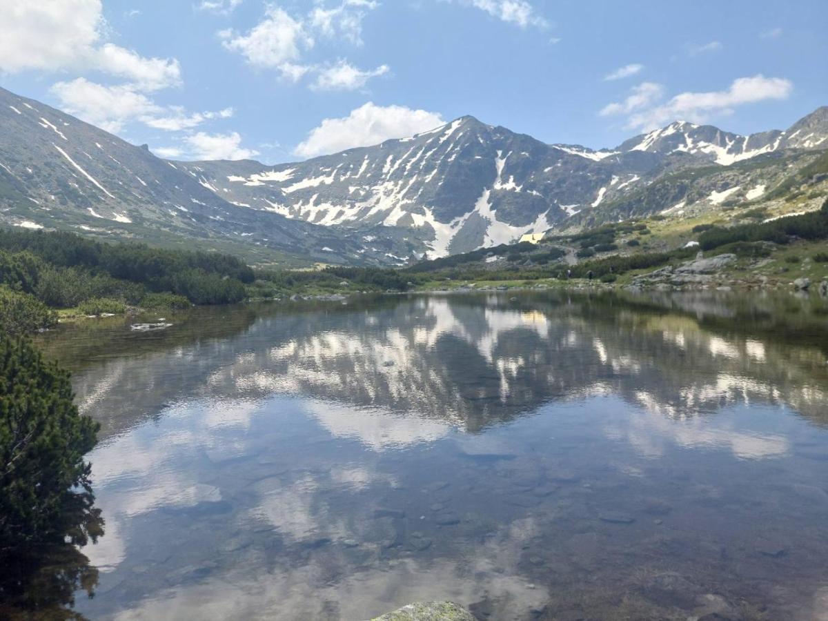 Klepalski - Mountain Studio 波罗维茨 外观 照片